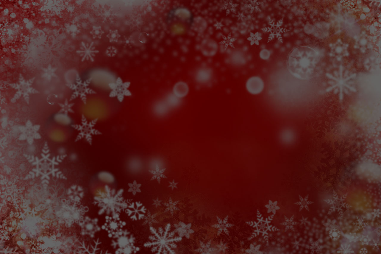 ごち特製 クリスマスチキンイメージ